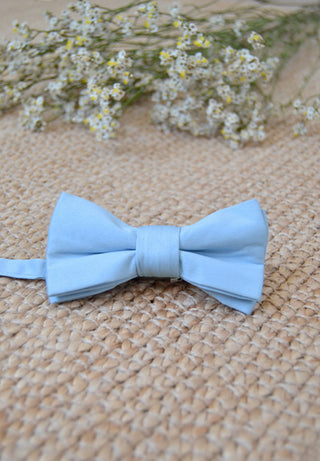 Romeo blue bow tie