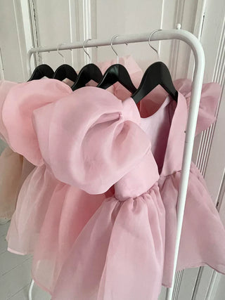 Dolly V Back Organza in Mauve