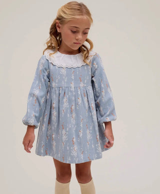 Blue girls dress with embroidered collar