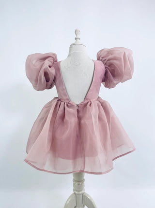 Dolly V Back Organza in Mauve