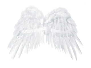 Angel's wings, white, 53 x 37cm